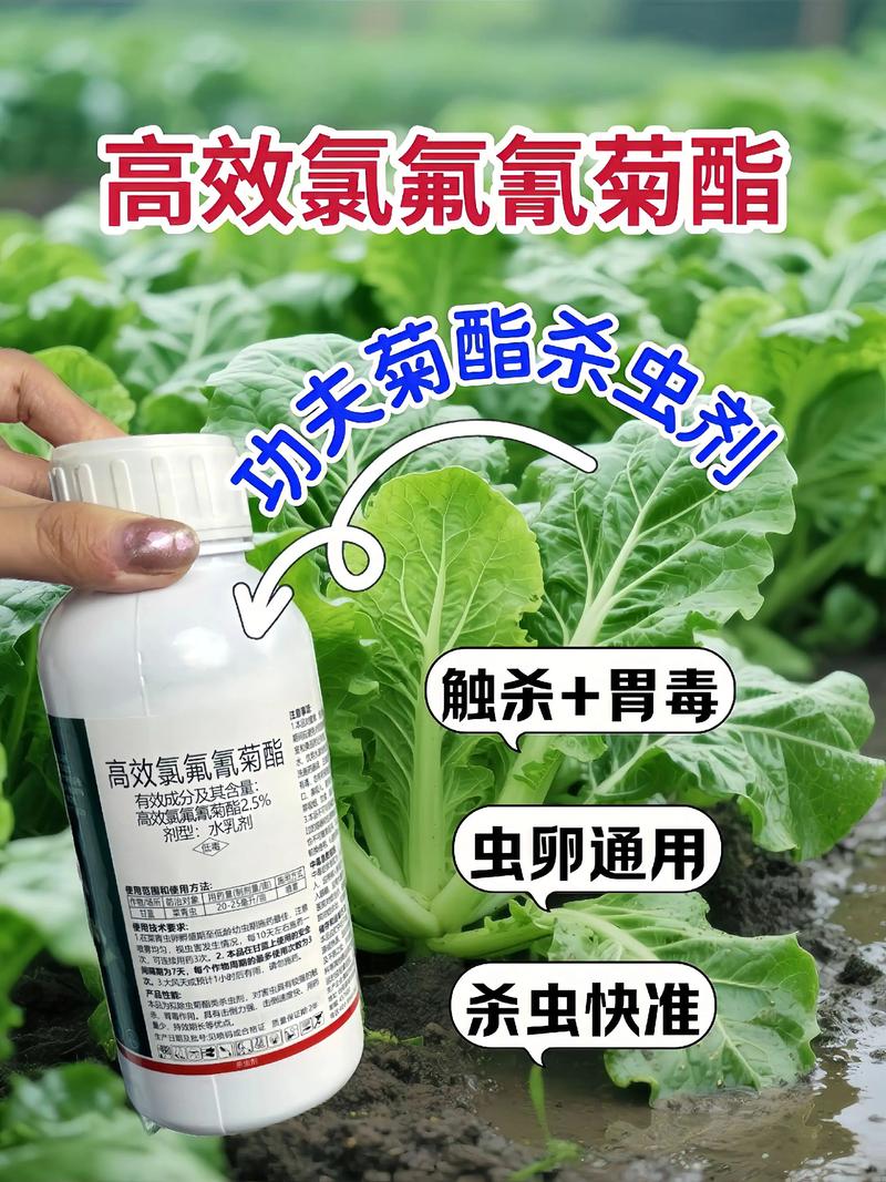 酒泉代生中心:农药对供卵代生妈妈的危害